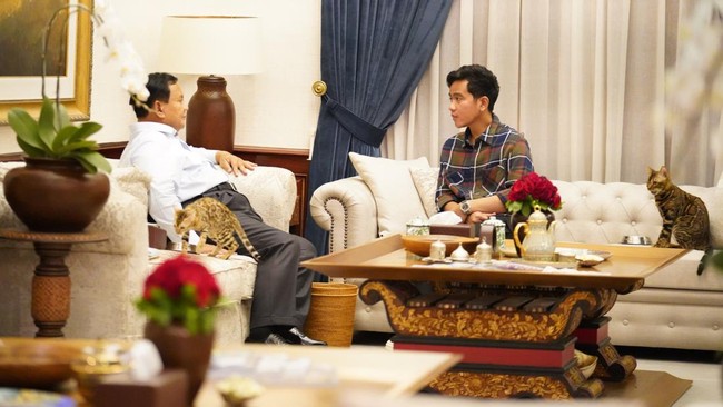 Pertemuan Prabowo-Gibran itu berjalan selama 1 jam lebih, dengan obrolan yang mengalir ringan dan santai, ditemani dua ekor kucing yang sibuk makan.