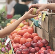 5 Cara Memilih Buah Apel yang Segar dan Matang