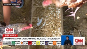 VIDEO: Kampung Ayam Di Tengah Kota Surabaya