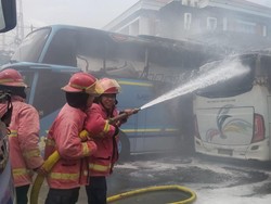 5 Bus-1 Motor di Denpasar Terbakar, Kerugian Mencapai Rp 800 Juta
