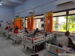 Kasus DBD Naik 3 Kali Lipat, 50 Persen Pasien Keluhkan Gejala Ringan