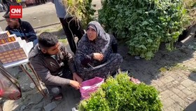 VIDEO: Cara Warga Gaza Bertahan Hidup, Makan Tumbuhan Liar Mallow