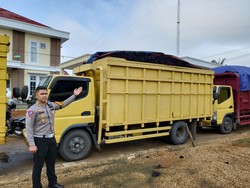 Ombudsman Usul Wewenang soal Batu Bara di Jambi Dikembalikan ke Pemda