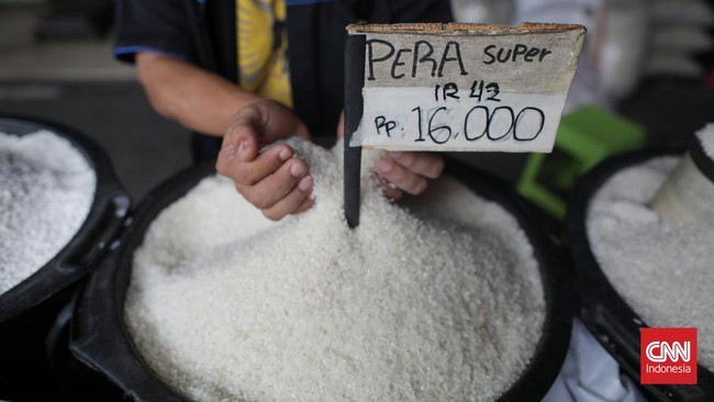 Kantor Staf Presiden (KSP) mewaspadai harga beras sulit turun karena biaya tenaga kerja yang naik.