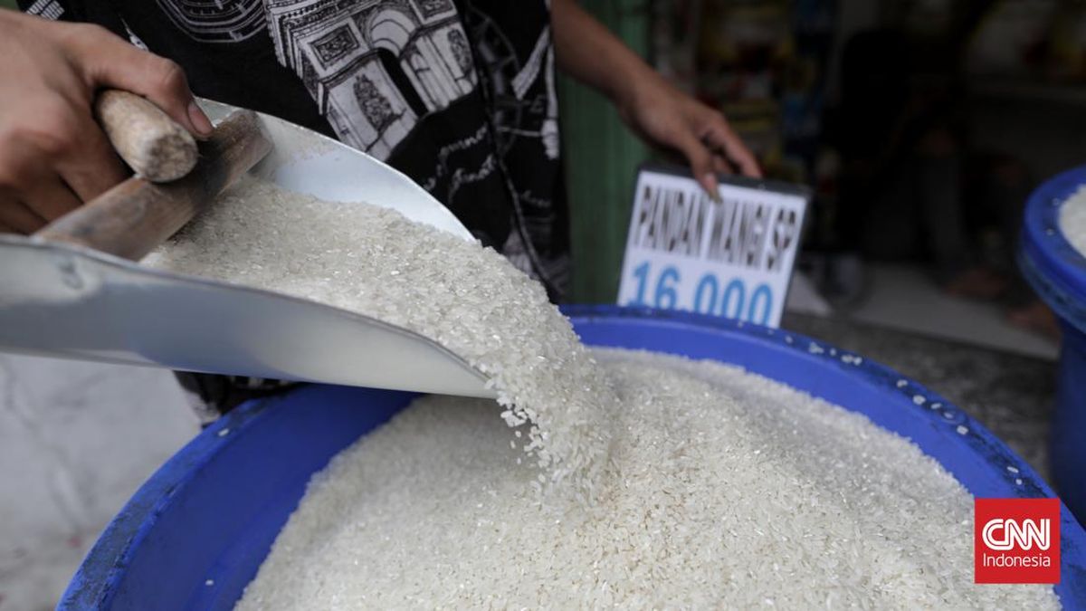 BPS Catat Harga Beras Naik Selama Ramadan
