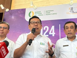 Bagi-bagi Bansos Tak Libatkan Mensos Risma, Bapanas Tepis Bersifat Politis