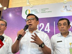 Badan Pangan Tegaskan Beras Bansos Bukan dari Stok Dalam Negeri, tapi Impor