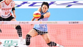 Libero Senior AI Peppers Dihukum 1 Tahun, Buntut Kasus Bullying