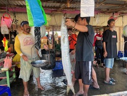 Mengintip Kisah Perjuangan Nelayan di Kampung Terluar Kalimantan