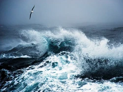 Drake Passage, Jalur Laut Terseram Dunia dengan Ombak 25 Meter