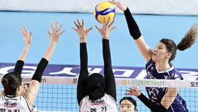 Alasan Hi Pass Muncur dari AVC Club Championship