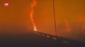 VIDEO: Horor Kebakaran Hutan Texas, 250 Ribu Hektare Hangus Terbakar