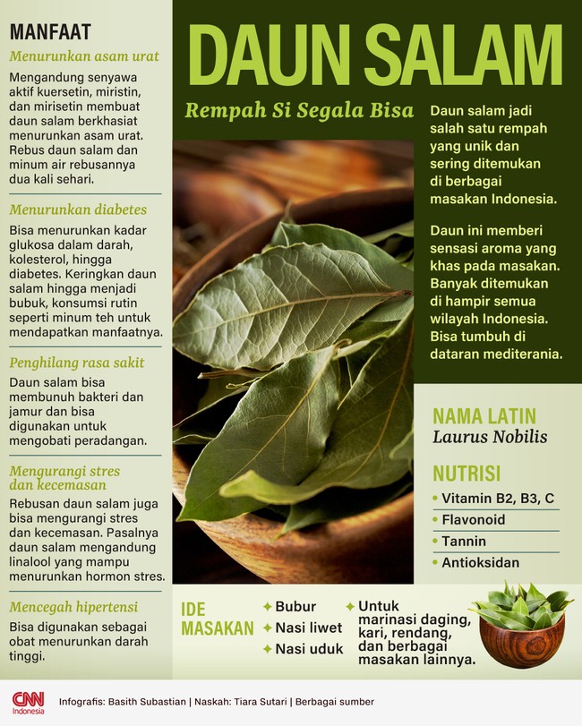 Daun salam jadi salah satu rempah yang unik dan sering ditemukan di berbagai masakan Indonesia. Daun ini memberi sensasi aroma yang khas pada masakan.