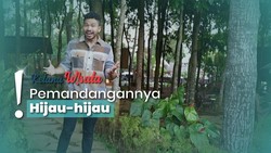 img-title Weekend-an Suasana Hutan Pinus di Kafe Alam Bogor