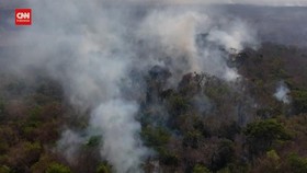 VIDEO: Kebakaran Amazon Hasilkan Emisi Karbon Tertinggi dalam 21 Tahun