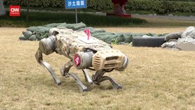 VIDEO: Melihat Robot Anjing Perpaduan Teknologi Sipil-Militer China