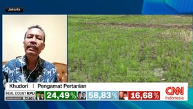 VIDEO: Biang Kerok Anomali Harga Beras Naik