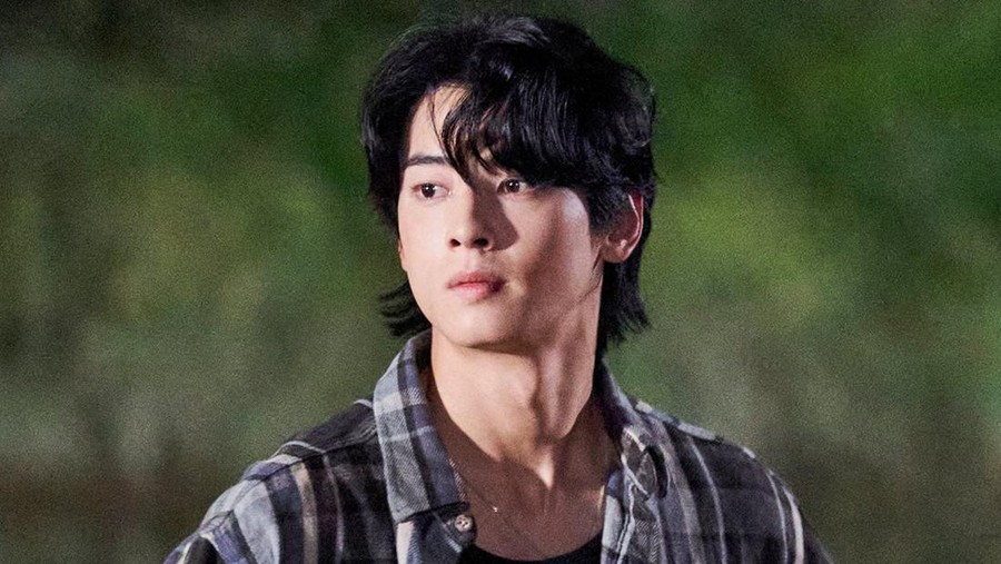 Cha Eun Woo di drama Korea Wonderful World