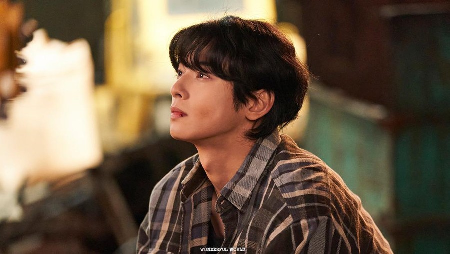Cha Eun Woo di drama Korea Wonderful World