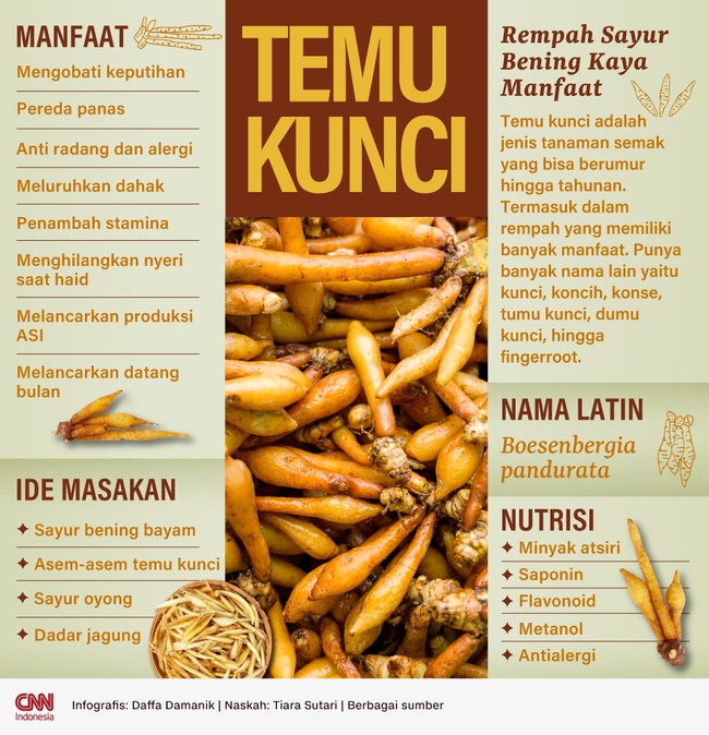 Temu kunci adalah jenis tanaman semak yang bisa berumur hingga tahunan dan biasanya dipakai sebagai rempah sayur bening.