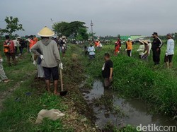 Basmi Serangan Hama Tikus, Petani-Petugas di Boyolali Gelar Gropyokan