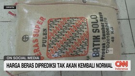 VIDEO: Harga Beras Diprediksi Tak Akan Kembali Normal