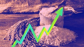 Seluk Beluk Harga Beras RI Pecah Rekor Tertinggi dalam Sejarah
