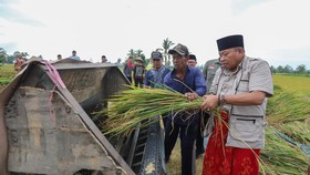 Ikut Panen Padi di Lotim, Pj Gubernur Pede NTB Akan Surplus Beras