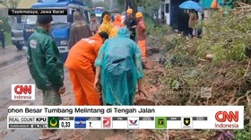 VIDEO: Diguyur Hujan Deras, Pohon Kayu Putih Tumbang