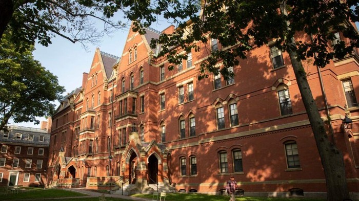 Kini Universitas Harvard Makin Sepi Peminat, Alasannya Tak Terduga!