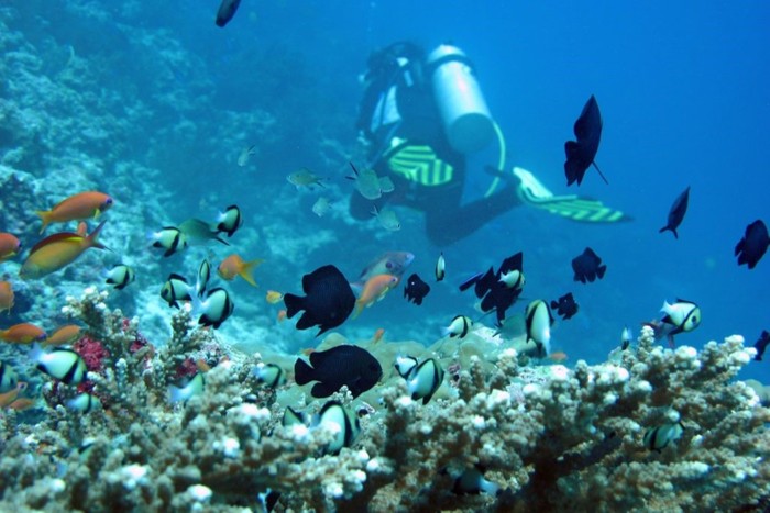 Fakta Menarik Pulau Weh, Surga di Ujung Barat Indonesia