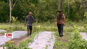 VIDEO: Merawat Hutan dan Tanah Seruyan
