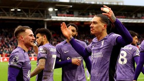 Darwin Nunez: Dulu Pecundang, Kini Pahlawan Liverpool