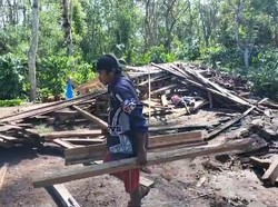Ngeri! Kawanan Gajar Liar Rusak Fasilitas Tempat Wisata di Lampung