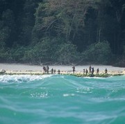 Mengenal North Sentinel Island, Pulau Terlarang Milik India yang Dekat Wilayah Indonesia