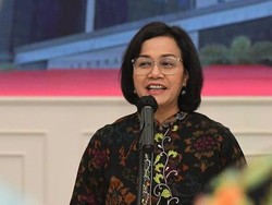 Saat Sri Mulyani Pamer ke Investor Negara Seperti Indonesia Langka