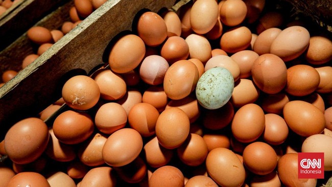 Harga telur dan daging ayam di sejumlah pasar tradisional Jakarta melonjak hingga Rp32 ribu per kg beberapa hari menjelang Ramadan 2024.