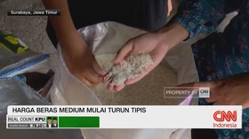 VIDEO: Harga Beras Medium Perlahan Turun Tipis
