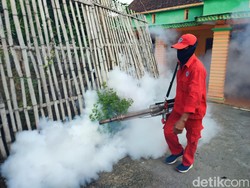 DBD Serang Ponorogo, RS Ini sampai Tolak Ratusan Pasien karena Penuh