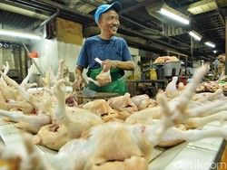 Daging Ayam Ras Picu Inflasi 0,15% di Jatim pada Oktober 2024