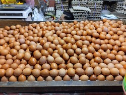 Bos Bapanas Senang Harga Telur di Jakarta di Rp 24 Ribu-Rp 26 Ribu/Kg