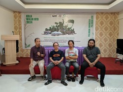 Walhi Soroti 2,1 Juta Lahan Hutan di NTB, 60 Persen Kritis