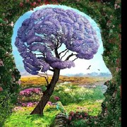 Tes Kepribadian: Gambar Wajah, Pohon, atau Burung yang Pertama Kamu Lihat? Ini Artinya!