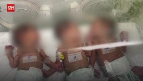 VIDEO: Bayi-bayi Baru Lahir di Gaza Terpaksa 'Berdesakan' di Inkubator