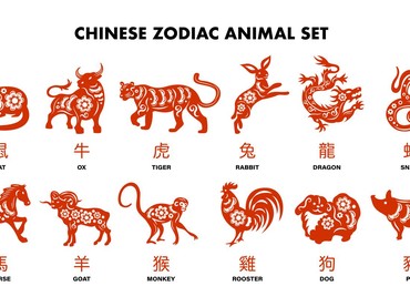 img-title 5 Shio yang Beruntung Tahun 2025 Menurut Pakar Feng Shui