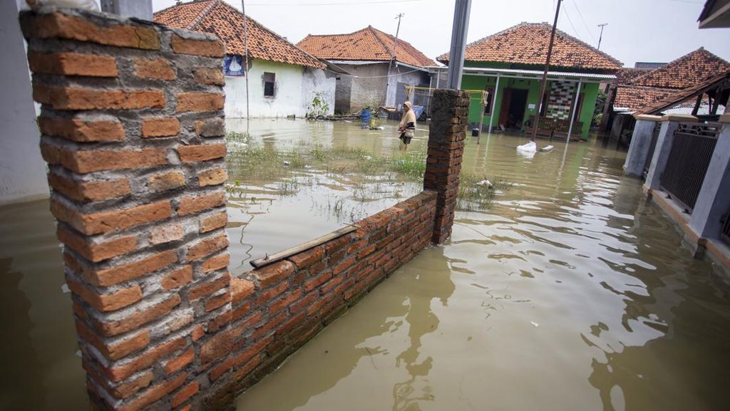 Banjir Kembali Terjang Cirebon, Ratusan Rumah dan Ruas Jalan Terendam