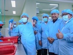 Genjot Ekonomi Warga, Bupati Gresik Siapkan Unit Pengolahan Ikan Bandeng
