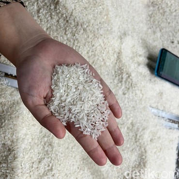 Hati-hati Beras Oplosan, Ini Ciri-cirinya