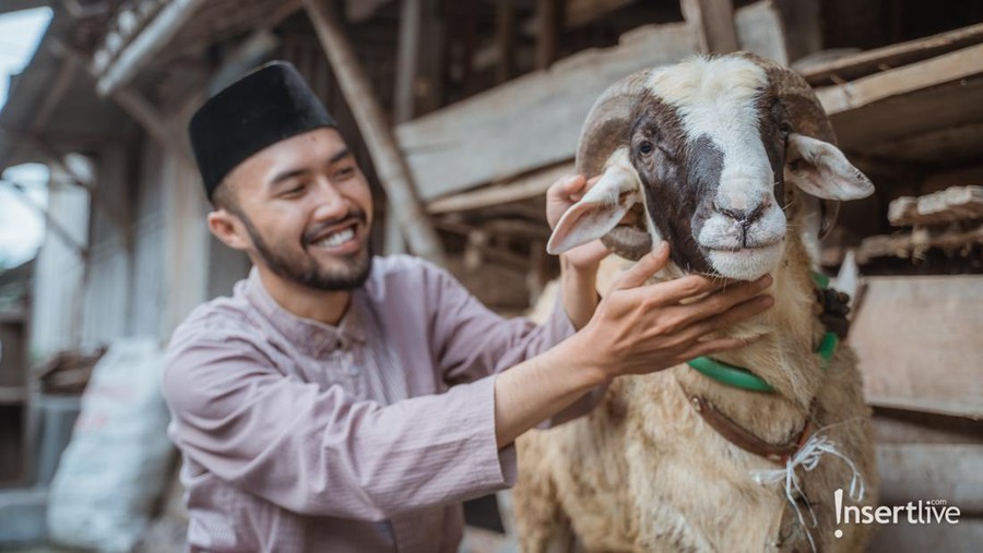 happy muslim couple buy a goat for eid adha sacrifice or qurban celebration