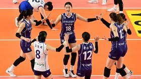 Hasil Liga Voli Korea: Hillstate Tumbang, Megawati Cs Girang